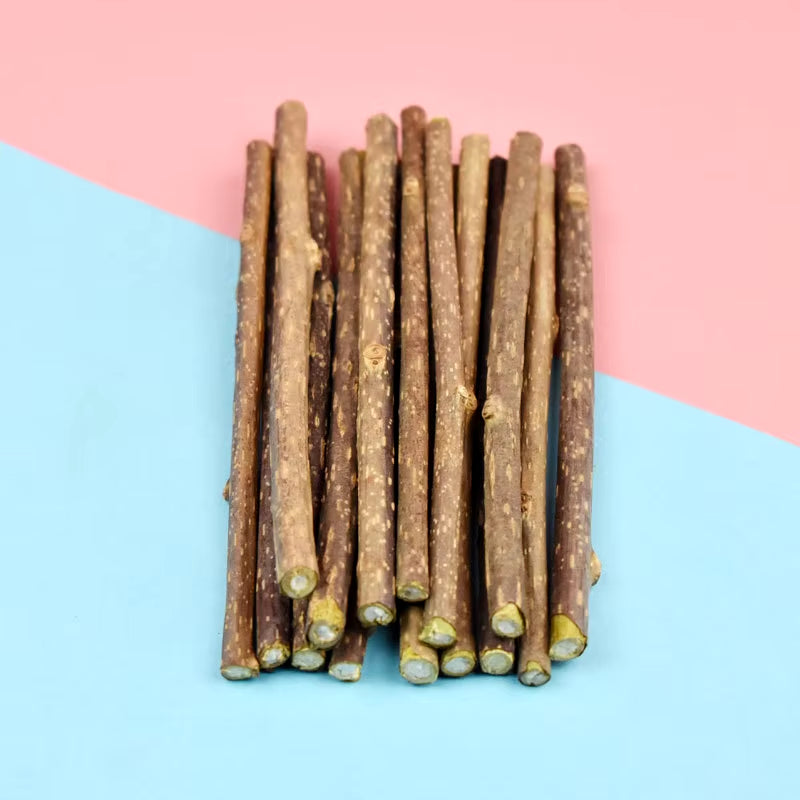 Hot Pure Natural Catnip Pet Cat Toy Safety Molar Toothpaste Branch Cleaning Teeth Cat Snacks Sticks Catnip Pet Supplies