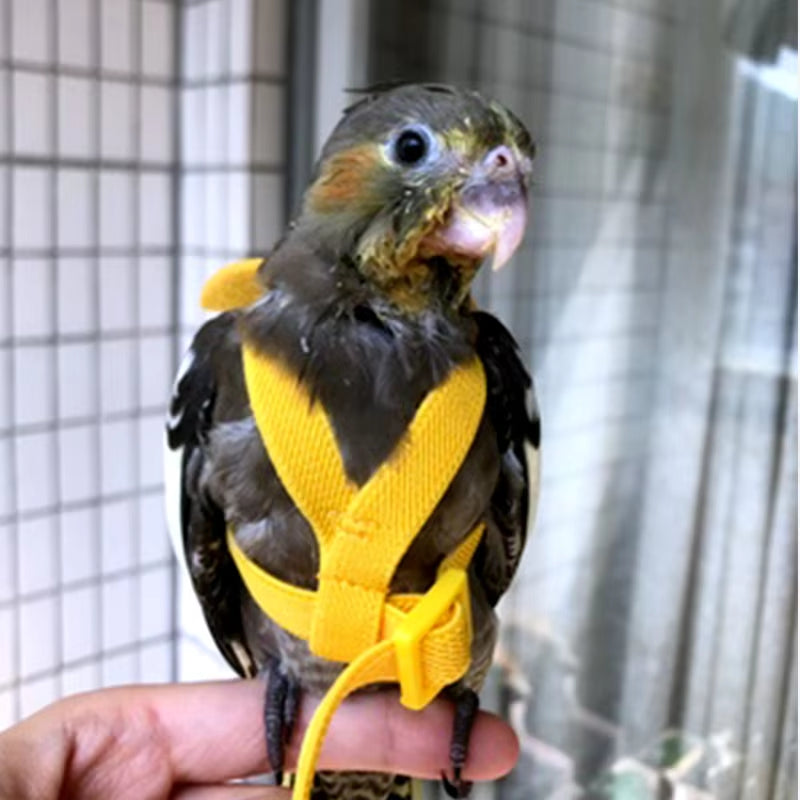 Parrot Flying Harness Leash Suit Pet Bird Outdoor Flight Training Rope Cockatiel Supplies Macaw Accessories Stuff for Budgie