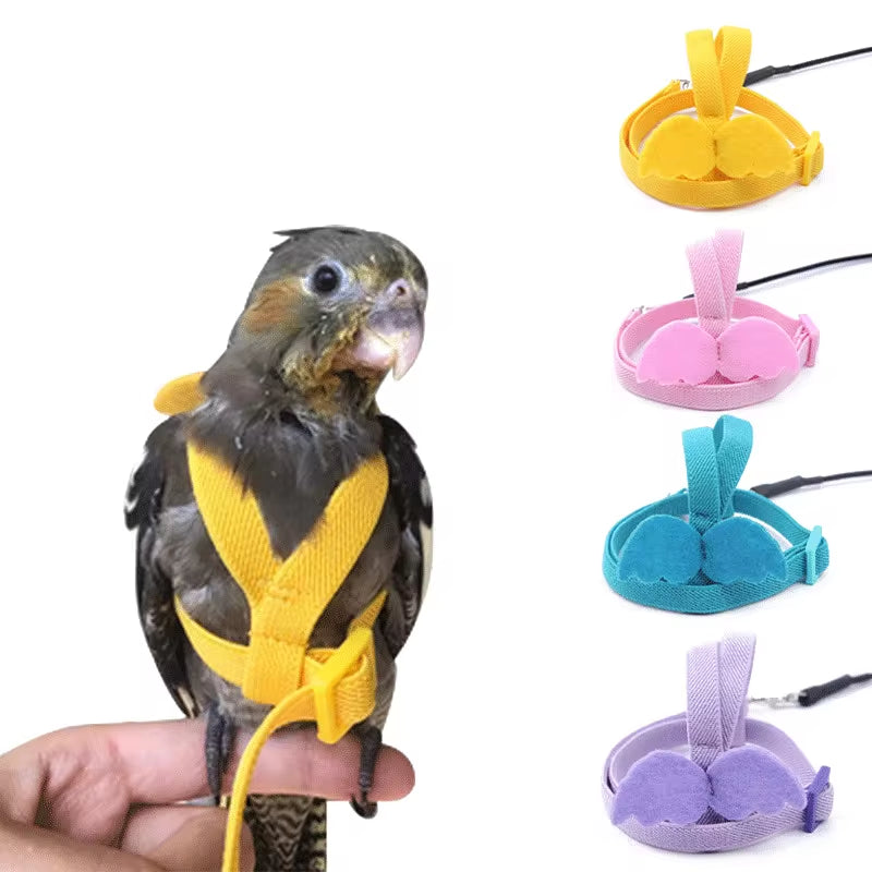 Parrot Flying Harness Leash Suit Pet Bird Outdoor Flight Training Rope Cockatiel Supplies Macaw Accessories Stuff for Budgie