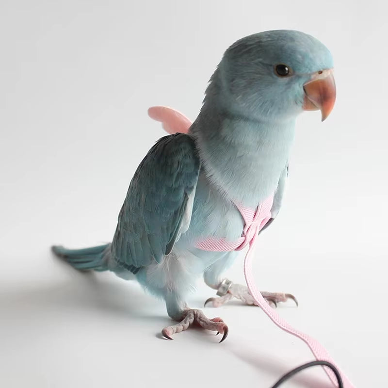 Parrot Flying Harness Leash Suit Pet Bird Outdoor Flight Training Rope Cockatiel Supplies Macaw Accessories Stuff for Budgie