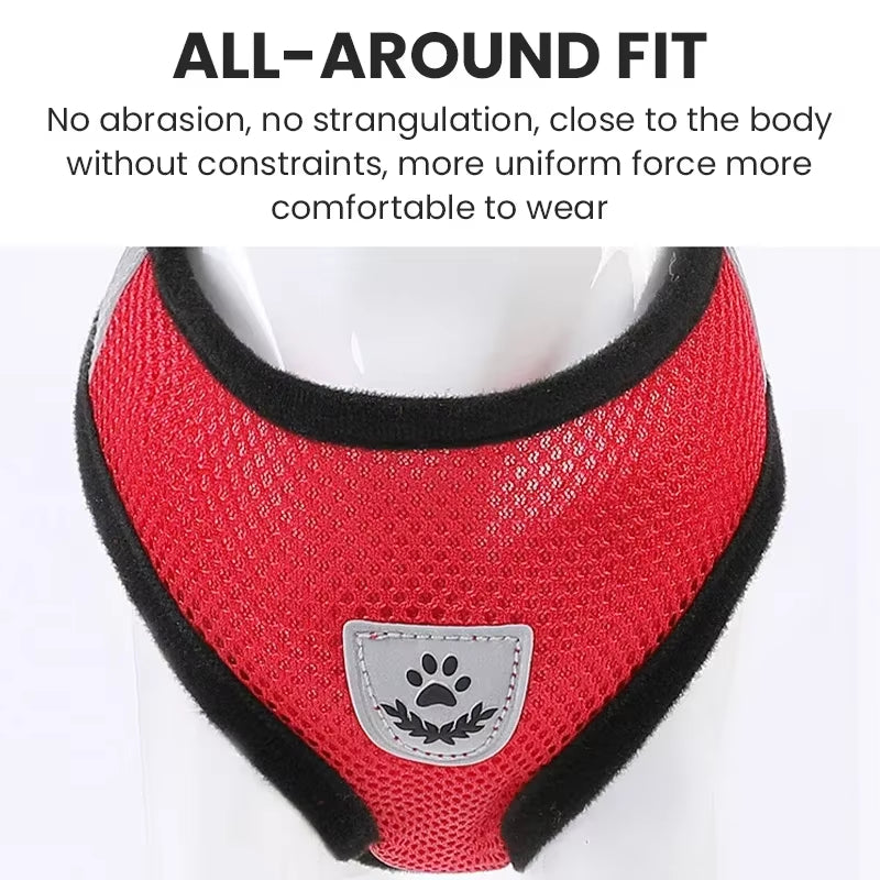 1Pcs Pet Walking Dog, Dog Walking Cat, Chest Harness, Outdoor Traction Rope, Collar, Clothes, Explosion-Proof Punching