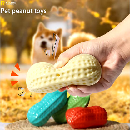 Peanut Squeaky Chew Toy - Rubber Pet Teething & Play