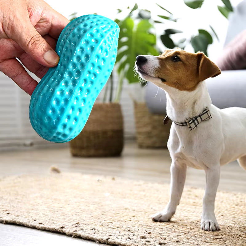 Peanut Squeaky Chew Toy - Rubber Pet Teething & Play