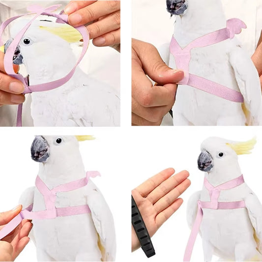 Parrot Flying Harness Leash Suit Pet Bird Outdoor Flight Training Rope Cockatiel Supplies Macaw Accessories Stuff for Budgie